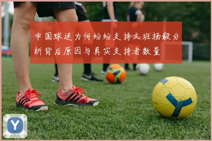 中国球迷为何纷纷支持文班杨毅分析背后原因与真实支持者数量