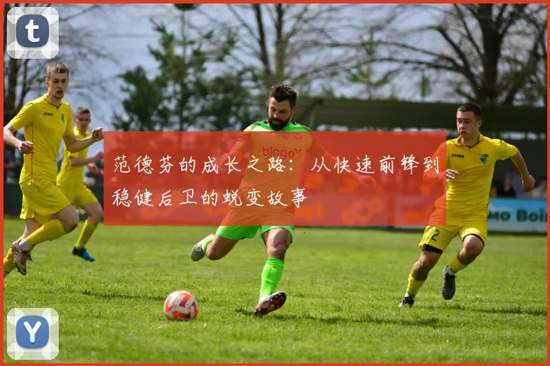 范德芬的成长之路：从快速前锋到稳健后卫的蜕变故事