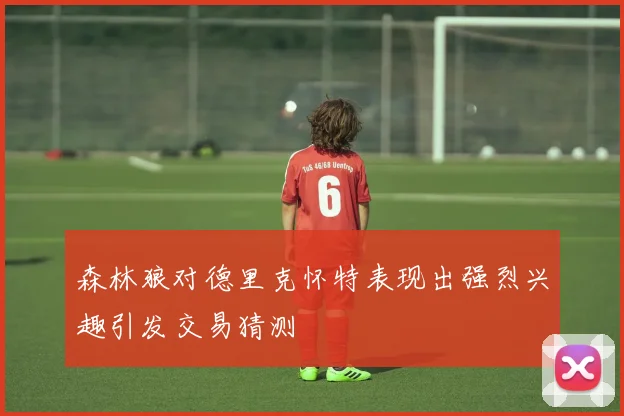 森林狼对德里克怀特表现出强烈兴趣引发交易猜测